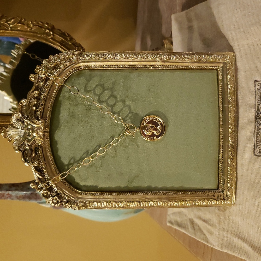 Coin Medallion Pendant Necklace w/ Gold Chain & Dusty! - Picture 5 of 7